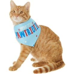 Frisco Pawtriot Dog & Cat Bandana 11 Frisco Pawtriot Dog & Cat Bandana -Pawfect Care 191277 PT2. AC SS1800 V1584623825