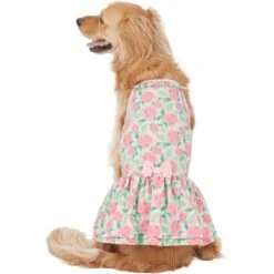 Frisco Pink Floral Dog & Cat Dress -Pawfect Care 191295 PT2. AC SS1800 V1637653354