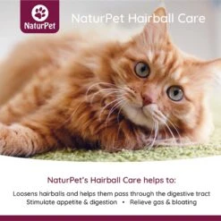 NaturPet Liquid Hairball Control Supplement For Cats & Dogs -Pawfect Care 191468 PT2. AC SS1800 V1568238783