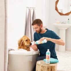 Frisco Shed Control Dog & Cat Conditioner, Sweet Nectar Scent -Pawfect Care 192072 PT3. AC SS1800 V1585320736