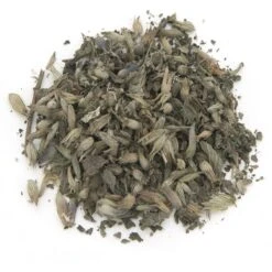 Best Pet Supplies Catify Lounger Cardboard Catnip Scratcher Cat Toy -Pawfect Care 193098 PT4. AC SS1800 V1568064753