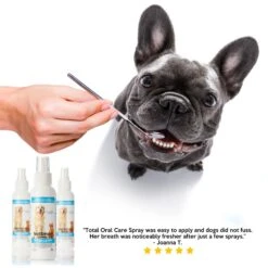 VetSmart Formulas Total Oral Care Dog & Cat Dental Spray -Pawfect Care 193698 PT7. AC SS1800 V1657656136