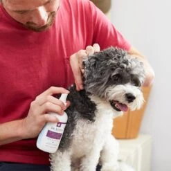 Dr. Lyon's Wound & Skin Care Pet Spray -Pawfect Care 195382 PT5. AC SS1800 V1594754180