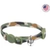 Li'l Pals Adjustable Breakaway Kitten Collar, 6 - 8 In -Pawfect Care 195711 MAIN. AC SS1800 V1677957460