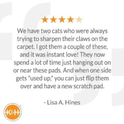 K&H Pet Products EZ Mount Window Cat Scratcher With Catnip -Pawfect Care 199089 PT6. AC SS1800 V1627346843