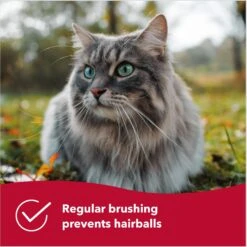 Safari Bamboo Bristle Cat Brush -Pawfect Care 199922 PT4. AC SS1800 V1678122812