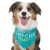 Frisco Happy Gotcha Day Dog & Cat Bandana -Pawfect Care 200538 MAIN. AC SS1800 V1633085812