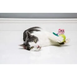 Hartz Cattraction Silver Vine & Catnip Plush Macaron Mice Cat Toy, 2 Count -Pawfect Care 201261 PT3. AC SS1800 V1637163158