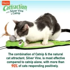 Hartz Cattraction Silver Vine & Catnip Plush Macaron Mice Cat Toy, 2 Count -Pawfect Care 201261 PT7. AC SS1800 V1637163229