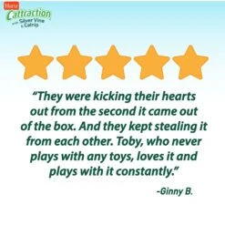 Hartz Cattraction Silver Vine & Catnip Plush Animal Pal Kicker Plush Cat Toy, Character Varies -Pawfect Care 201263 PT6. AC SS1800 V1637163183