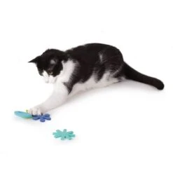 Hauspanther Atomic Flyers Catnip Chaser Cat Toy -Pawfect Care 201266 PT3. AC SS1800 V1569013134