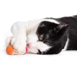 Hauspanther Bamboleos Wine Cork Catnip Chaser Cat Toy -Pawfect Care 201268 PT3. AC SS1800 V1569013191