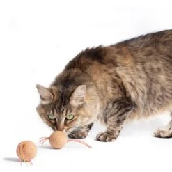 Hauspanther Cork Bombs Cork Chaser Cat Toy -Pawfect Care 201277 PT2. AC SS1800 V1569013443
