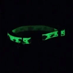 Safe Cat Glow In The Dark Adjustable Breakaway Cat Collar -Pawfect Care 202117 PT1. AC SS1800 V1569349036