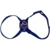 Size Right Snag-Proof Adjustable Cat Harness -Pawfect Care 202156 MAIN. AC SS1800 V1569349326
