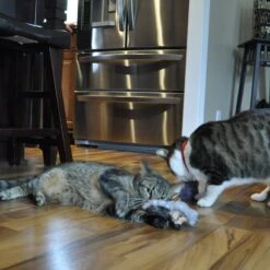 Turbo Catnip Belly Hedgehog Plush Cat Toy With Catnip -Pawfect Care 202176 PT3. AC SS1800 V1677960130