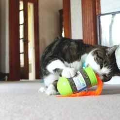 Turbo Wobble Bottle Cat Toy With Catnip -Pawfect Care 202240 PT3. AC SS1800 V1677955675
