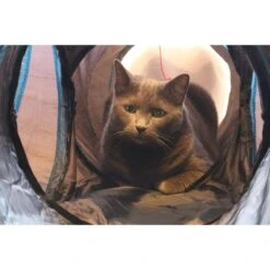 Feline Ruff 12" Premium 4-Way Collapsible Tunnel Cat Toy, Black & Blue 8 Feline Ruff 12" Premium 4-Way Collapsible Tunnel Cat Toy, Black & Blue -Pawfect Care 203968 PT2. AC SS1800 V1594670775
