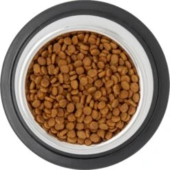Frisco Stainless Steel Taper Non-Skid Cat Bowl -Pawfect Care 204467 PT4. AC SS1800 V1599240133
