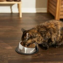 Frisco Stainless Steel Taper Non-Skid Cat Bowl -Pawfect Care 204467 PT6. AC SS1800 V1599090080