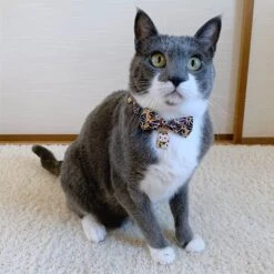 Necoichi Lucky Charm Bow Tie Cotton Breakaway Cat Collar With Bell -Pawfect Care 205965 PT4. AC SS1800 V1606862541