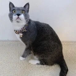 Necoichi Lucky Charm Bow Tie Cotton Breakaway Cat Collar With Bell -Pawfect Care 205965 PT5. AC SS1800 V1606871246