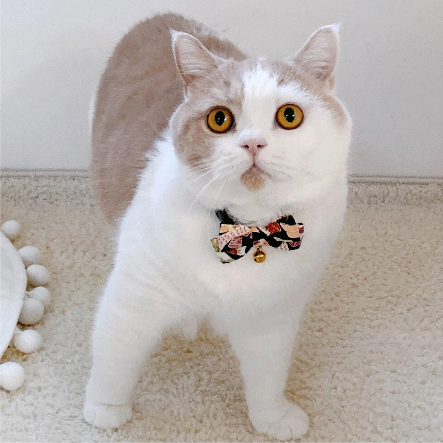 Necoichi Chirimen Kimono Bow Tie Breakaway Cat Collar With Bell 7 Necoichi Chirimen Kimono Bow Tie Breakaway Cat Collar With Bell - Image 5