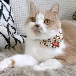 Necoichi Ninja Bandana Cotton Breakaway Cat Collar With Bell -Pawfect Care 205972 PT8. AC SS1800 V1627495583