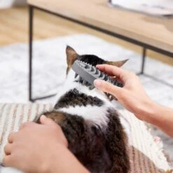 Frisco Cat Curry Brush -Pawfect Care 206853 PT6. AC SS1800 V1680186158