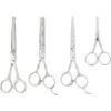 Frisco Shears Kit For Cats And Dogs -Pawfect Care 206903 MAIN. AC SS1800 V1601659859
