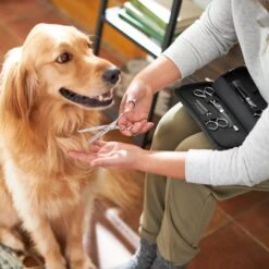 Frisco Shears Kit For Cats And Dogs -Pawfect Care 206903 PT4. AC SS1800 V1604009923