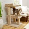 Frisco 32-in Real Carpet Wooden Cat Tree With Toy -Pawfect Care 208920 MAIN. AC SS1800 V1602682003
