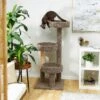 Frisco 50-in Real Carpet Wooden Cat Tree -Pawfect Care 208930 MAIN. AC SS1800 V1602682020