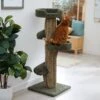 Frisco 49-in Tree-Shaped Real Carpet Wooden Cat Tree -Pawfect Care 208944 MAIN. AC SS1800 V1647632802