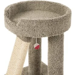 Frisco 24-in Real Carpet Cat Scratching Perch With Toy -Pawfect Care 208960 PT3. AC SS1800 V1589221651
