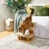 Frisco 20-in 3-Step Real Carpet Wooden Cat Steps -Pawfect Care 208966 MAIN. AC SS1800 V1602682013