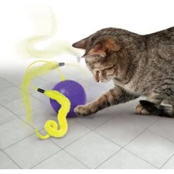 KONG Purrsuit Whirlwind Cat Toy -Pawfect Care 209632 PT2. AC SS1800 V1631766473