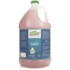 Green Groom Odor Eliminator Dog & Cat Shampoo, 1-gal Bottle -Pawfect Care 209835 main. AC SS1800 V1573660376