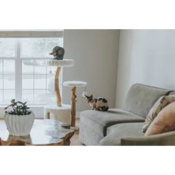 Mau Lifestyle Alba 43-in Modern Wooden Cat Tree & Condo -Pawfect Care 211717 PT2. AC SS1800 V1632954678