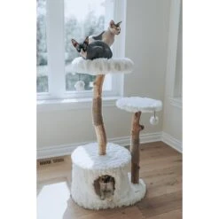 Mau Lifestyle Alba 43-in Modern Wooden Cat Tree & Condo -Pawfect Care 211717 PT5. AC SS1800 V1632954718