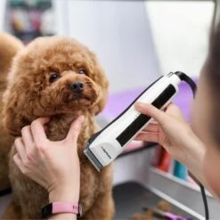 Babyliss Pro Pet Two Speed Professional Pet Motor Clipper -Pawfect Care 211767 PT6. AC SS1800 V1652829721