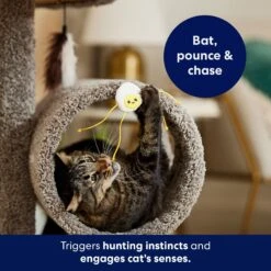 Frisco Plush Dangly Egg Buddy Cat Toy With Catnip -Pawfect Care 213844 PT5. AC SS1800 V1691784029