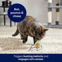 Frisco Dangly Avocado Buddy Plush Cat Toy With Catnip -Pawfect Care 213846 PT5. AC SS1800 V1691784029