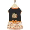 Frisco Pumpkin Patch Cutie Dog & Cat Dress -Pawfect Care 215784 MAIN. AC SS1800 V1632424571