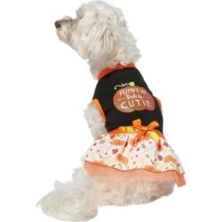 Frisco Pumpkin Patch Cutie Dog & Cat Dress -Pawfect Care 215784 PT3. AC SS1800 V1632430875
