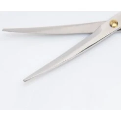 Diane Premier Curved Point-Tip Shear 111SC, 6.5-in -Pawfect Care 215862 PT2. AC SS1800 V1672327411