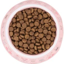 Frisco Pink Cute Cats Melamine Bowl -Pawfect Care 216043 PT4. AC SS1800 V1591020694