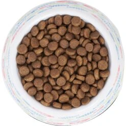 Frisco Colorful Fish Melamine Bowl -Pawfect Care 216047 PT4. AC SS1800 V1591020721