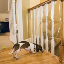 Cardinal Gates Indoor Banister Dog & Cat Shield Protector, Clear -Pawfect Care 217345 PT2. AC SS1800 V1628003803
