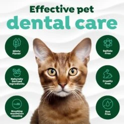 TropiClean Fresh Breath Cat Dental Kit -Pawfect Care 218553 PT4. AC SS1800 V1684607836